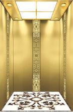 Mrl Home Lift Luxurious Passenger Elevators