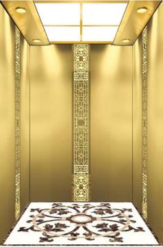 Mrl Home Lift Luxurious Passenger Elevators