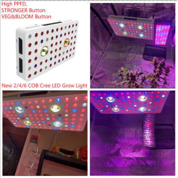 Luces de cultivo de planta LED espectro completo