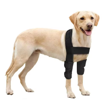 OEM Dog Leg Brace: Elbow and Rear Hock Joint Protector Pads