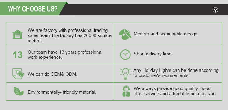 Customize Led Firecracker String Lights USB Fairy Lights Firecracker Cluster  11.5Ft 100LED Christmas Lights