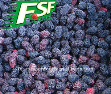 Frozen Mulberry, Frozen Mulberry Products Factory