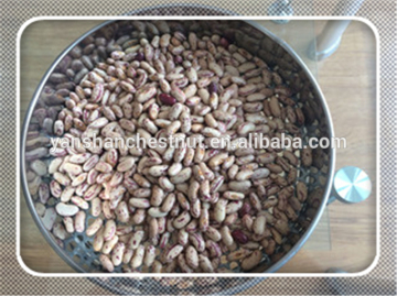 Light Speckled Kidney Beans Kidney Beans long red wholesale kidney beans