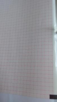 Twelve-Conduct Electrocardiograph Paper:216mmX280mm-200P(BURDICK-007984)