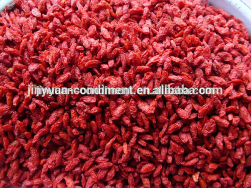 Top Quality Chinese Dried Red goji berry