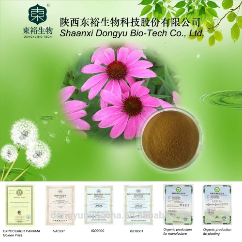Echinacea Purpurea Herb Extract Cichoric 2%