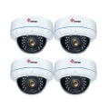 Volledig metalen behuizing IP Dome camera 2MP