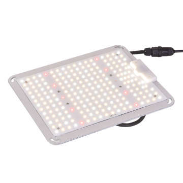 Rendre vos plantes plus rapides Grow Light 100W