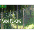 Hot Dipped Galvanized Farm Fence