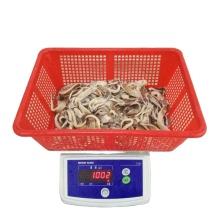 bqf chile giant squid wing,bqf frozen giant squid wings