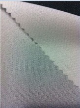 Micro / Sugar Dot Woven Polyester Resin Finish Interlining ---SKY-2& STAR-2 &1032