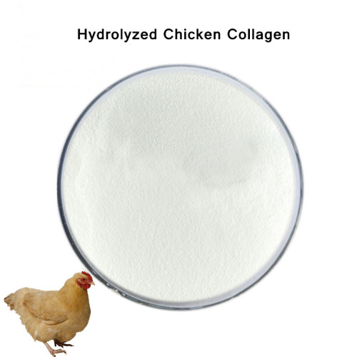 Collagène de poulet hydrolysé halal anti-âge et blanchi