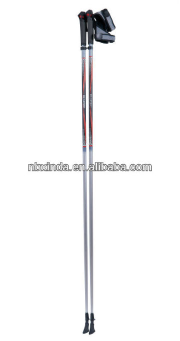 nordic walking stick