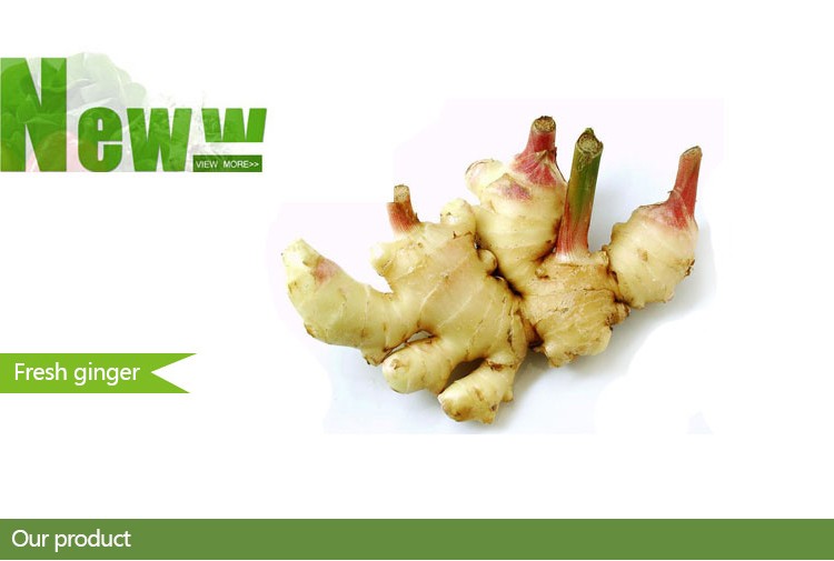 China export natural organic market price fresh ginger
