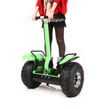 CE Electric Trike Scooter Foot Bike