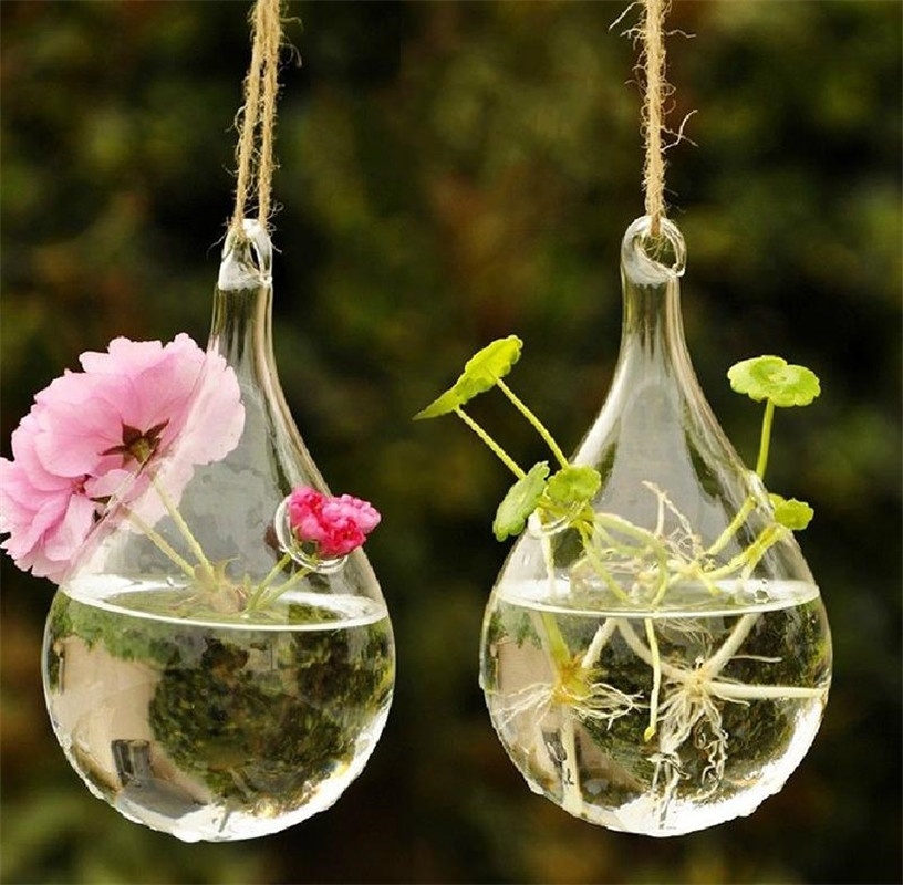 transparent hanging hydroponic glass vase