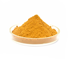 Citrus Fruits Extract Powder