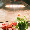 Pequeño panel LED 1000w Grow Luminaria