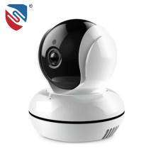 IP camera for secuirty system