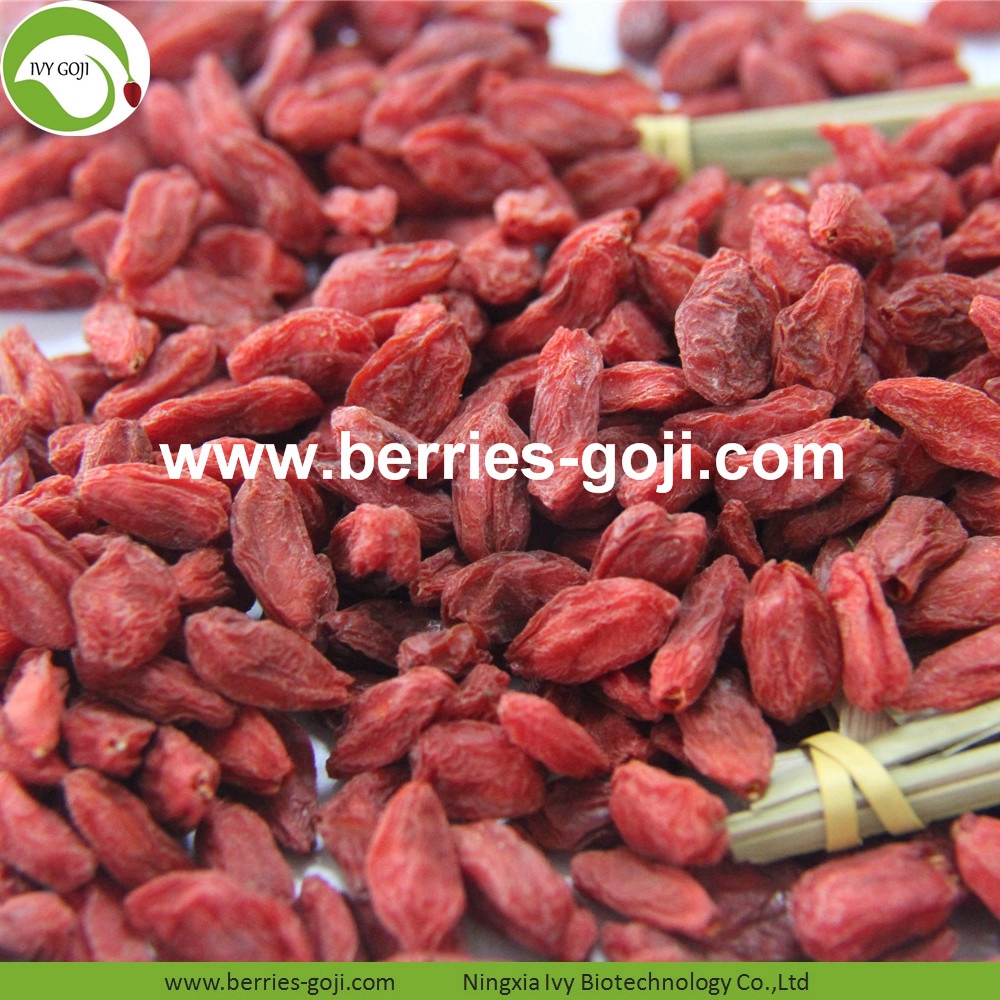 goji berry