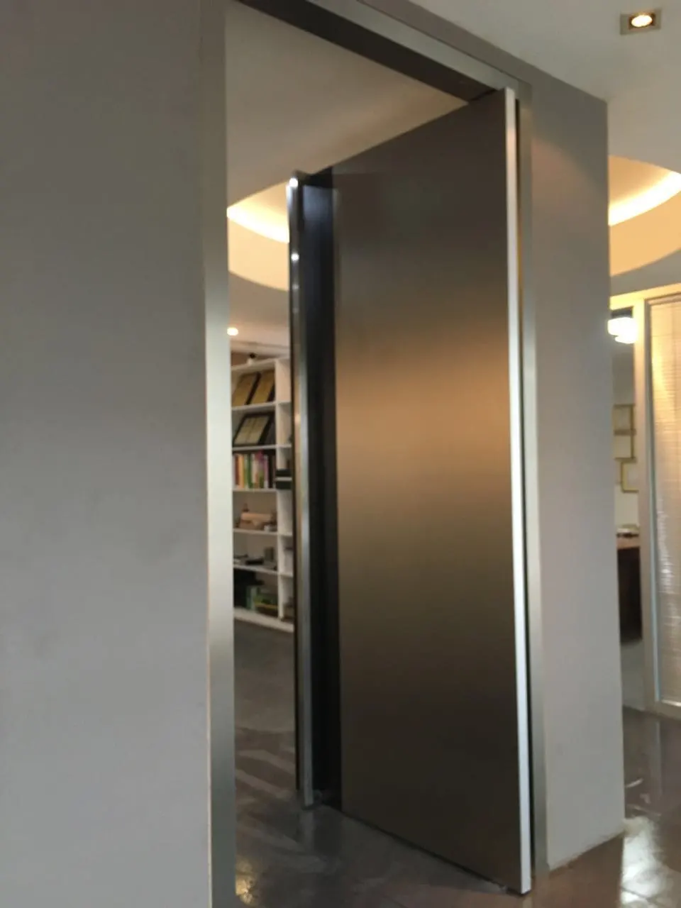 Stainless Steel Plate Internal Exterior Pivot Door