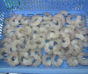 Frozen vannamei white shrimp price