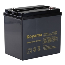 Golf Vehicle Deep Cycle Battery -6V210ah