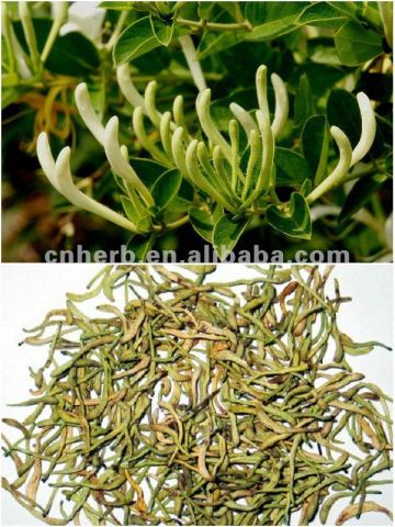 Dried Honeysuckle flower