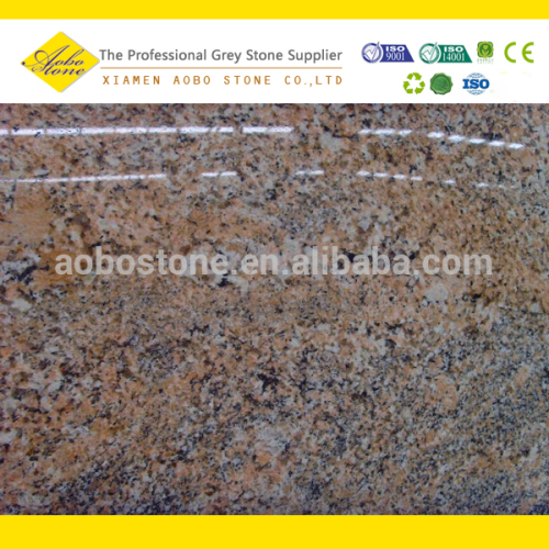 Polished Brazil Four Seasons Granite