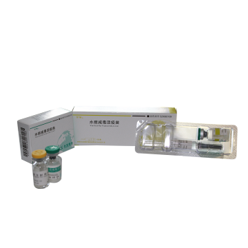 Preventing Chickenpox Immunization Vaccine