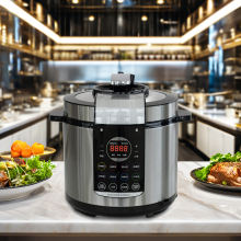 Compact 6L Electric Pressure Cooker Quick Start Guide for Families