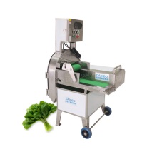2024 Fresh Vegetable Processing Machinery: Onion, Lettuce, Cabbage