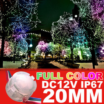 programmable controlled color changing led christmas lights