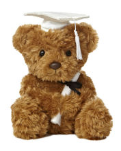 graduation teddy bear, the graduation teddy bear, 2014 graduation teddy bear