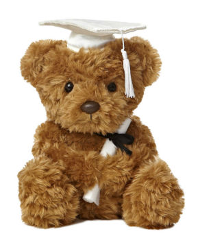 graduation teddy bear, the graduation teddy bear, 2014 graduation teddy bear