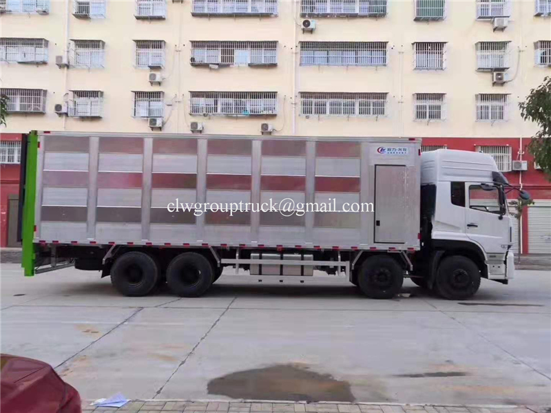 Cargo Truck 7