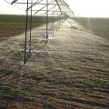 Venda de máquina de irrigação por pivô linear para fazenda