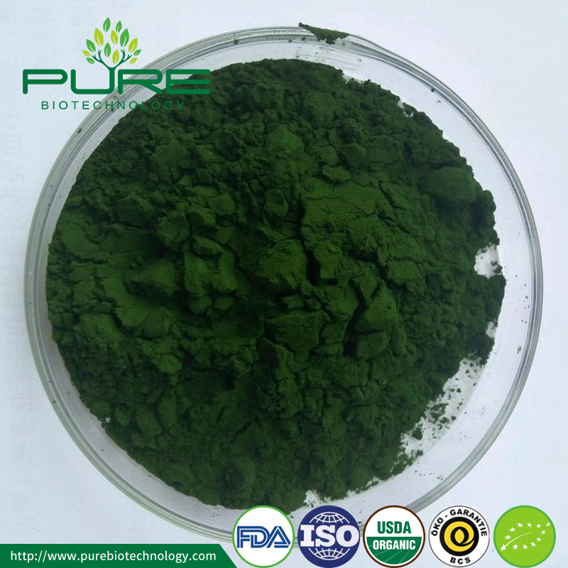 العضوية مسحوق كلوريلا Organic Chlorella Powder
