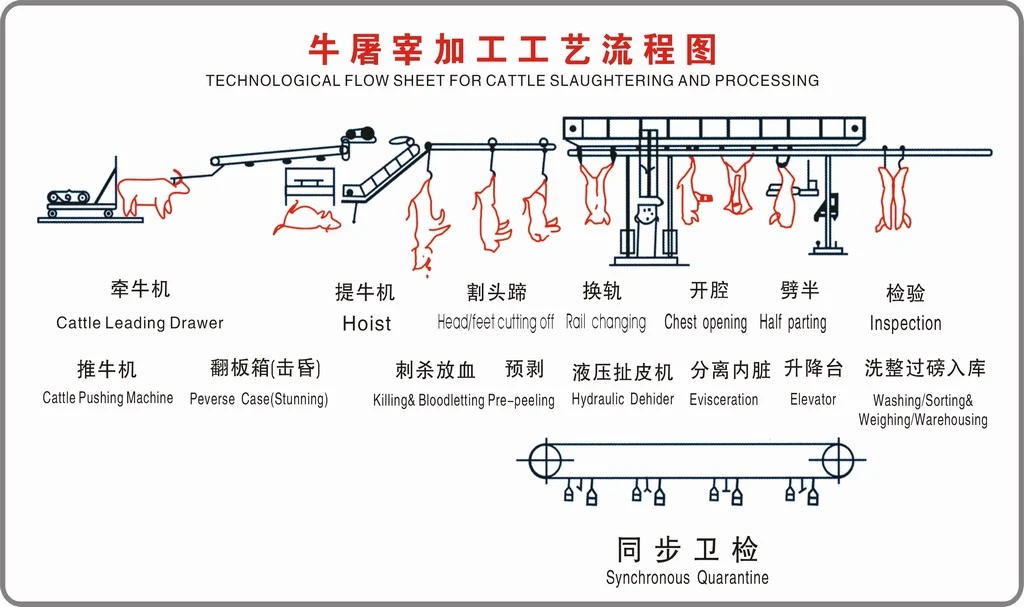 Ox Veal Beaf Processing Plant Equipment Cattle Slaughter Machine