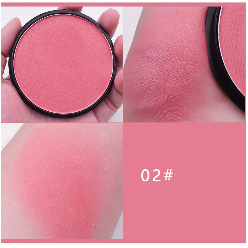 Wholesale Cosmetics Powder Blusher Custom Logo Multi Color Blush