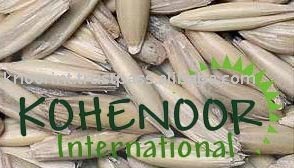 Oats Seeds-Exporter Kohenoor International