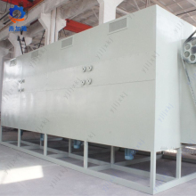 Fresh White Button Mushroom Dryer