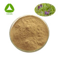 Prunella Spike Extract Powder Health Care Product