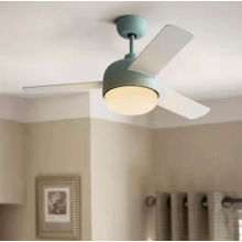 Fan lamp with lighting and cooling function