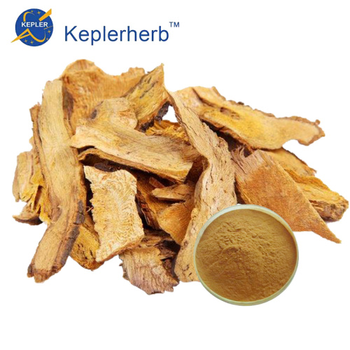 Polygonum Cuspidatum Extract Powder