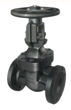 Water System MSS SP 70 Gate Valve