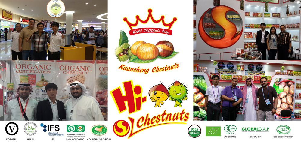 Fresh Chestnut, bulk chestnuts, Hebei raw chestnuts for sale