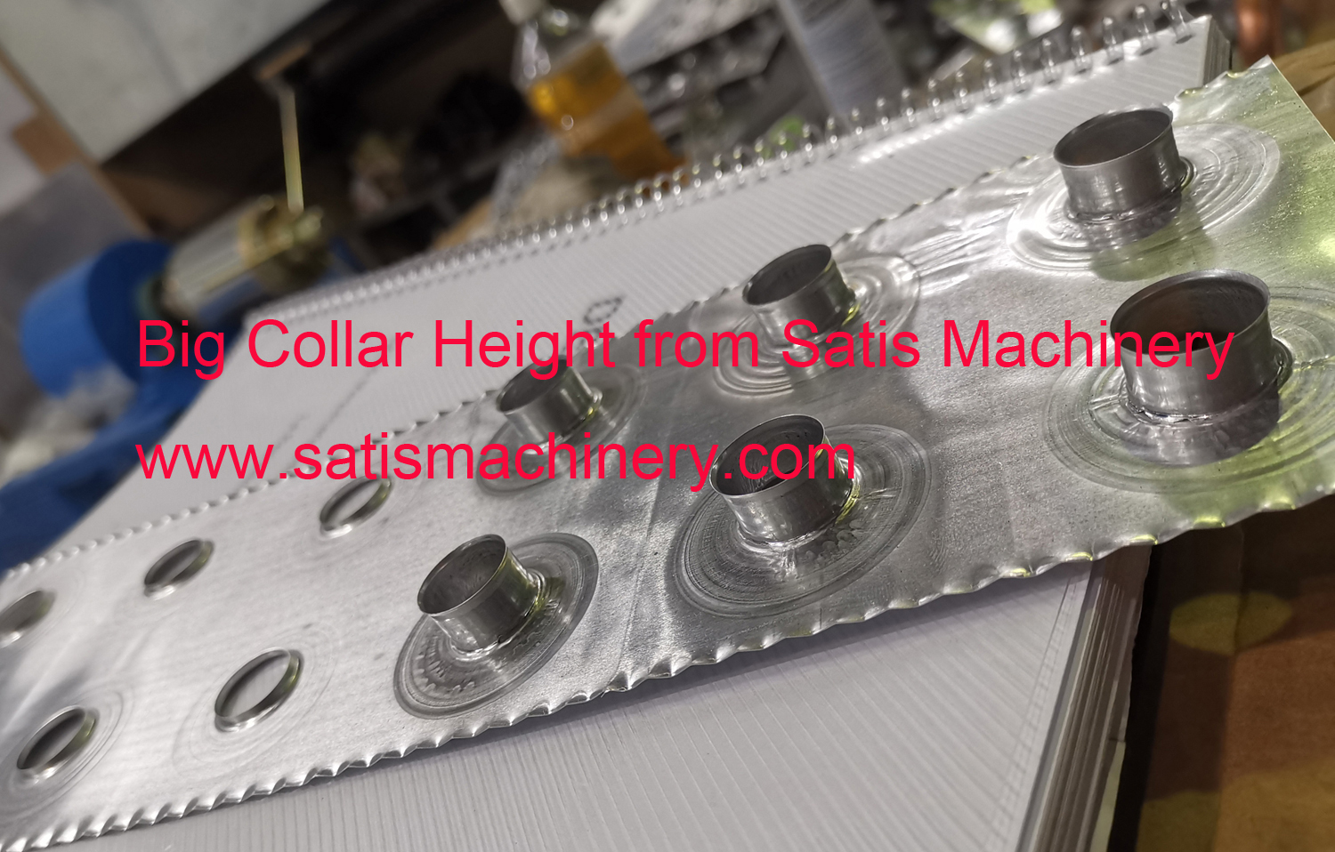 Satis Collar Height Fins