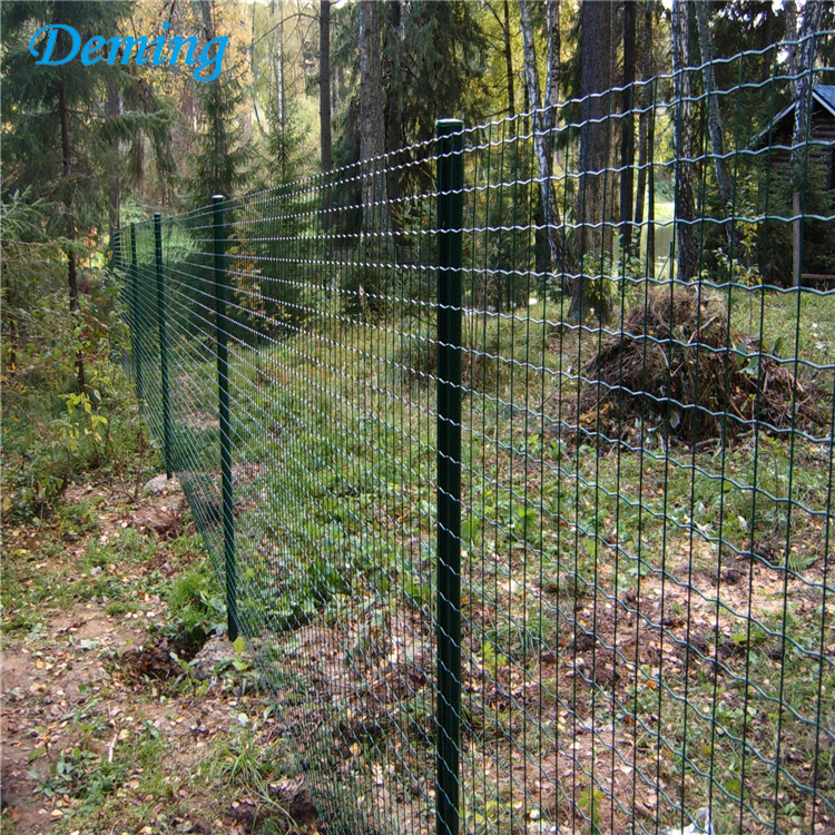 electric galvanized pvc welded wire mesh holland netting