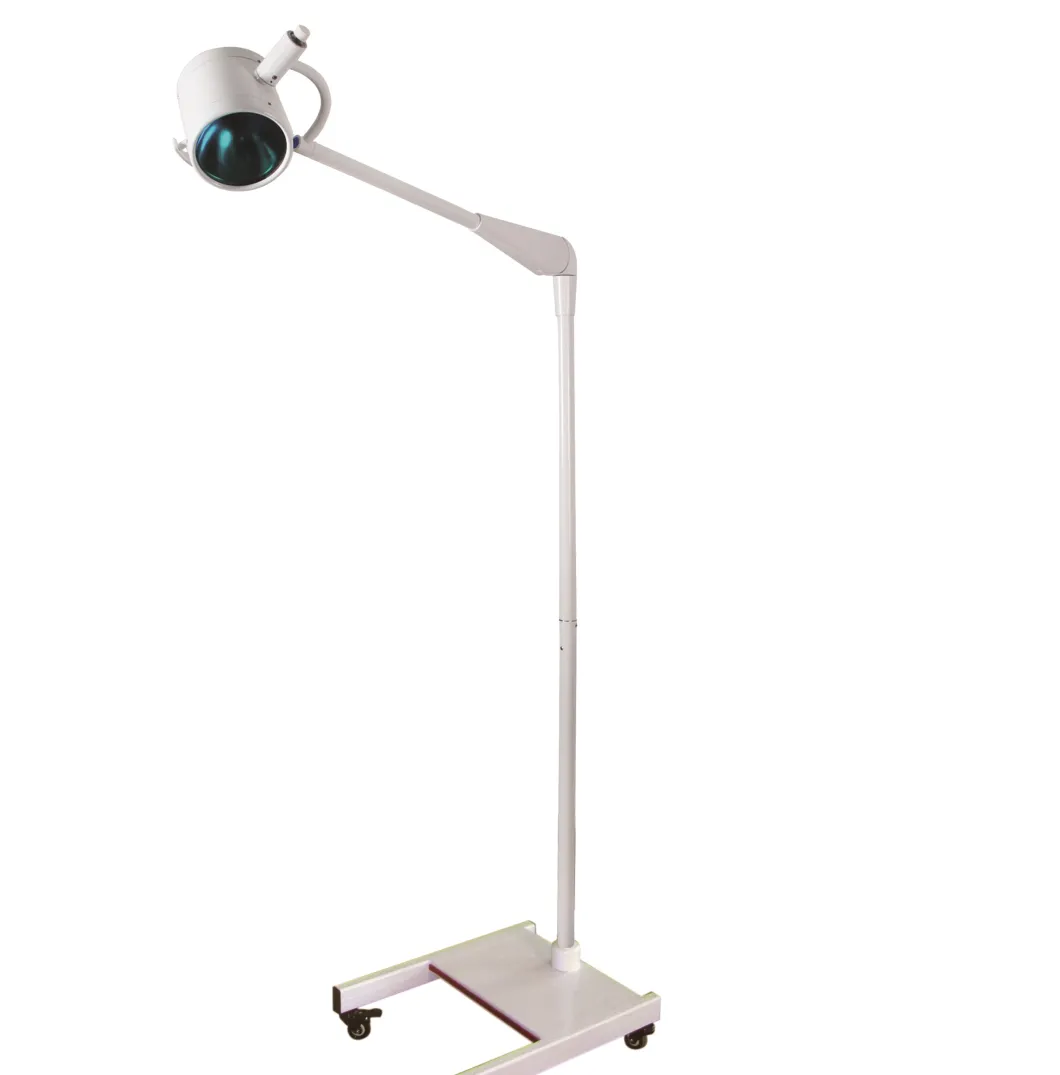 Portable LED Medical Light Source Examination Lamp